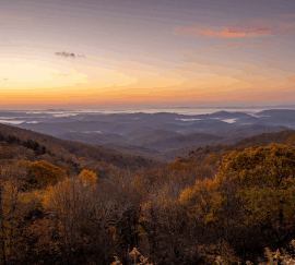 South Carolina