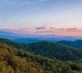 Tennesse
