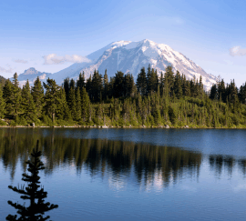 Washington
