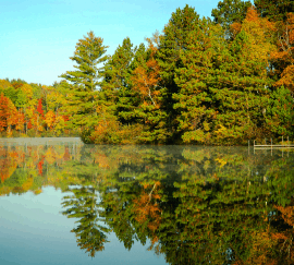 Minnesota